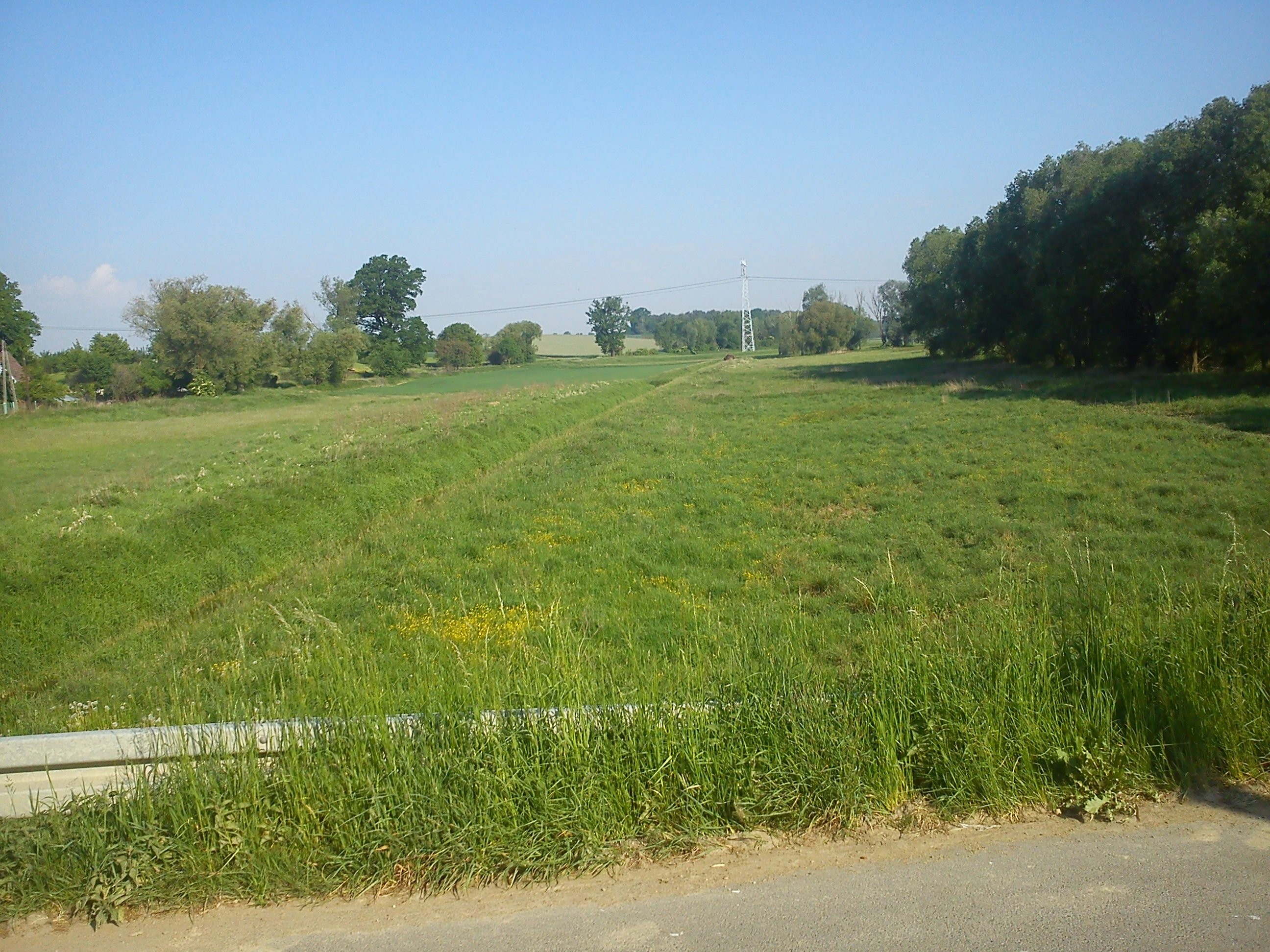 Pilnie sprzedam łąkę Jaksonowice - gmina Długołęka — zdjęcie 4