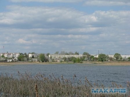 Ukraina.Ferma trzody blisko trasy Kijow-Warszawa — zdjęcie 5
