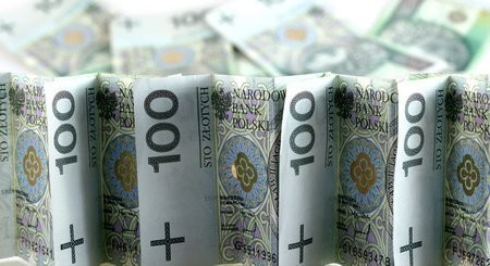 ### PRZYPŁYW GOTÓWKI NA ROZWÓJ DZIAŁALNOŚCI GOSPOD — zdjęcie 1