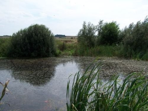 Budynek ,uzbrojone siedlisko,grunt rolny Legnica — zdjęcie 3