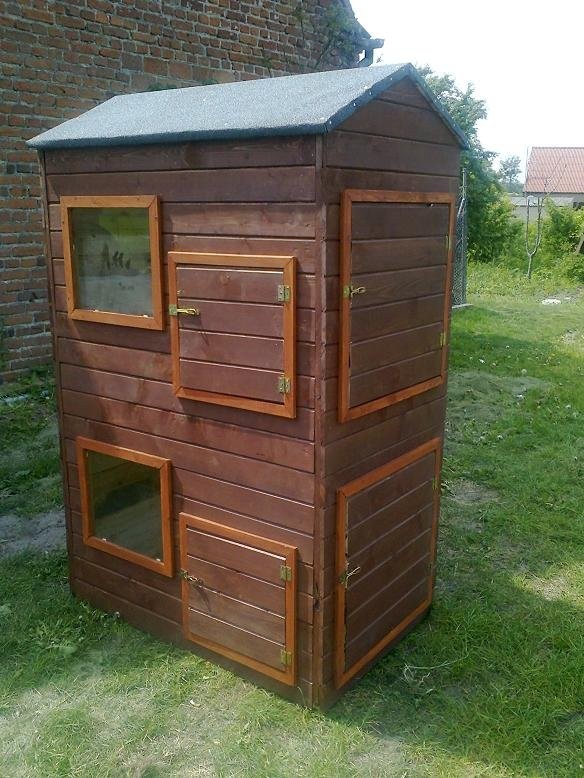 MINI KURNIKI NA 20 KUR WYSYŁKA — zdjęcie 5