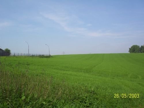 GOSPODARSTWO ROLNE, GRUNT INWESTYCYJNY. — zdjęcie 6