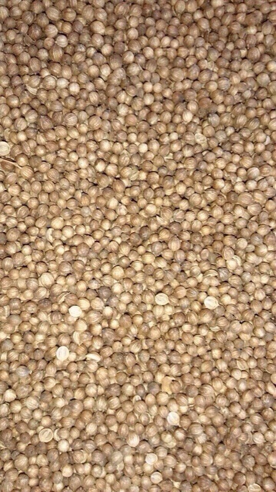 Sprzedam kolendrę, kolendra 99% każde ilości 