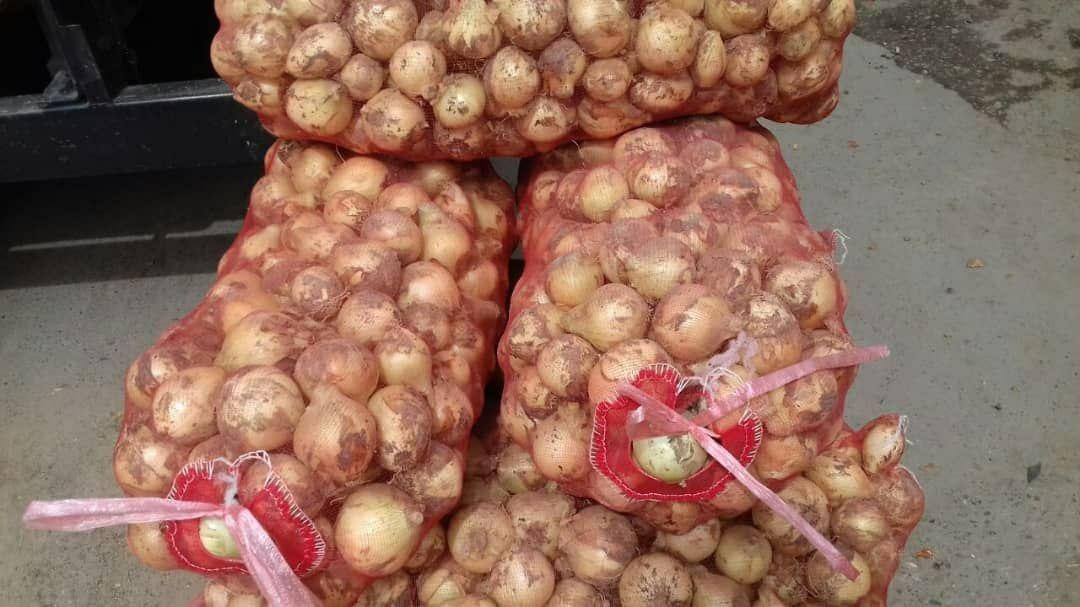 CEBULA sprzedaz od 20 ton.  z nowych zbiorów — zdjęcie 3