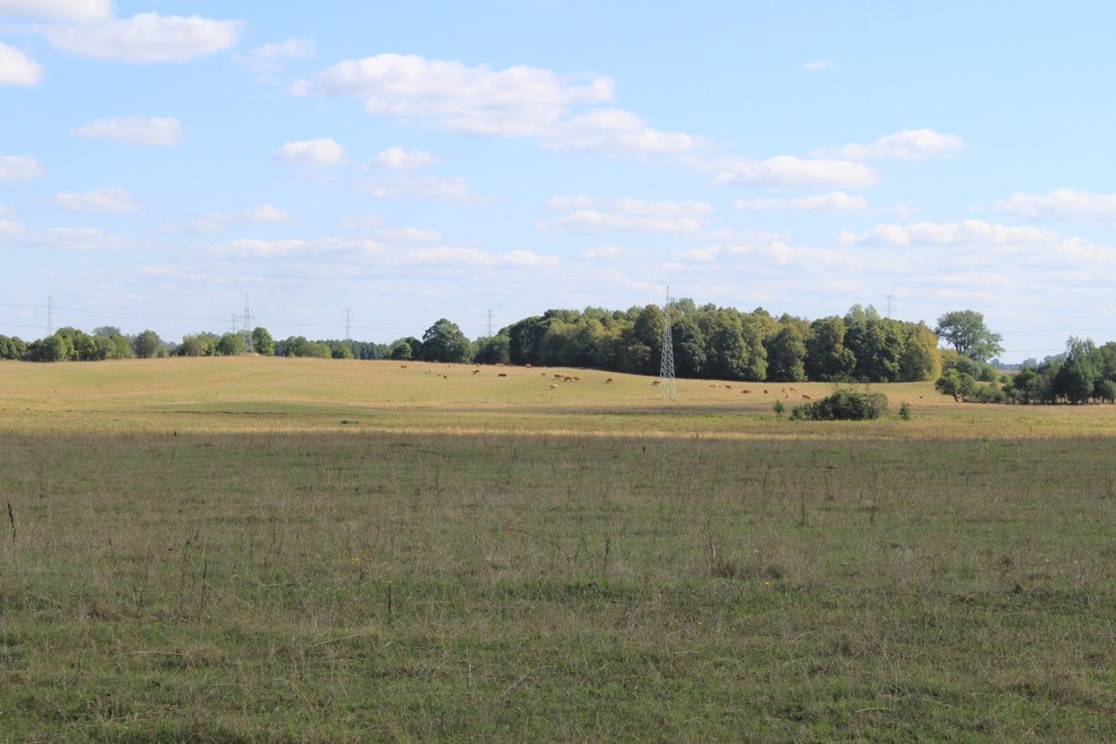 Gospodarstwo 260 ha Suwalszczyzna - Suwałki — zdjęcie 2