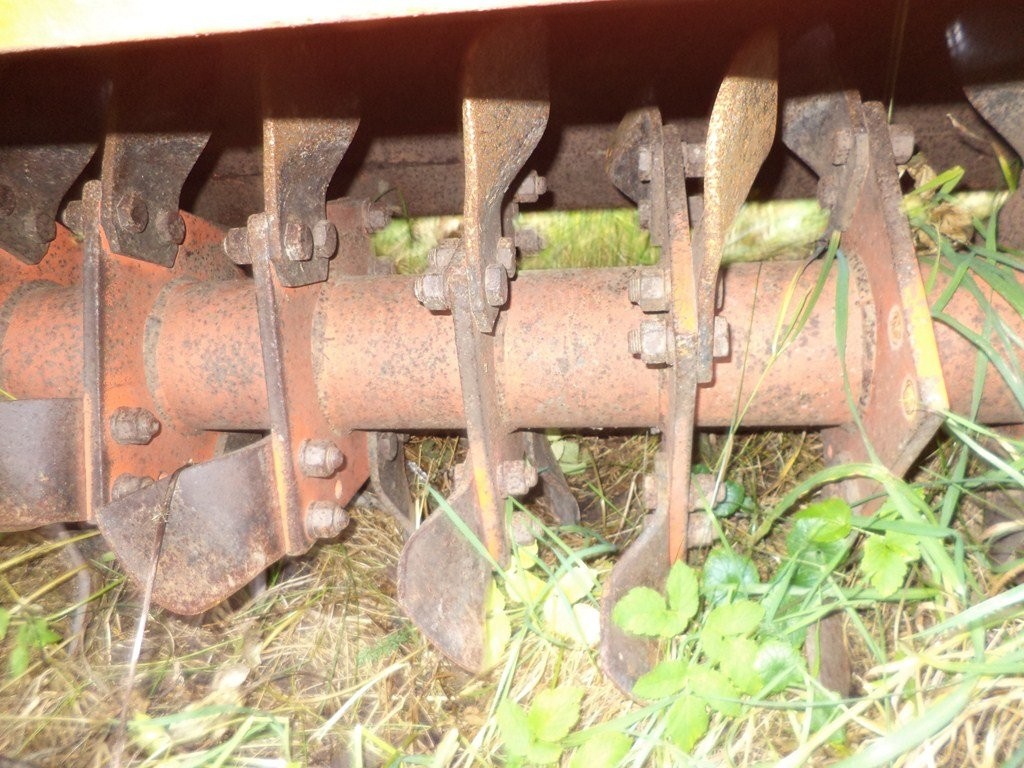 Maschio - 2000 — zdjęcie 3