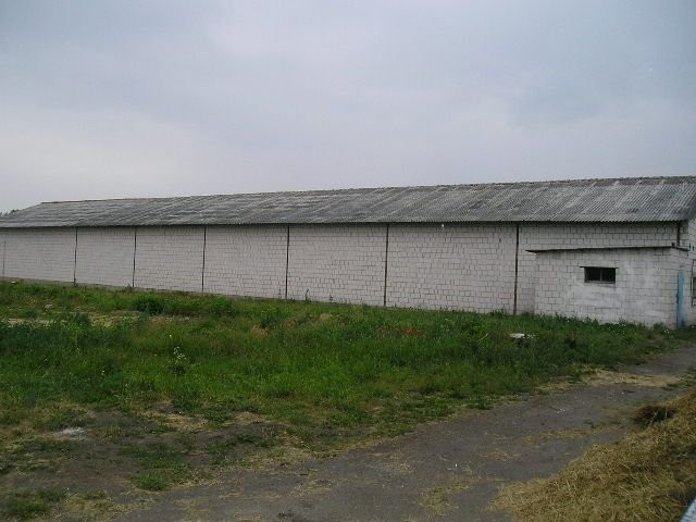 ferma drobiu Kostrzyn Wlkp — zdjęcie 3