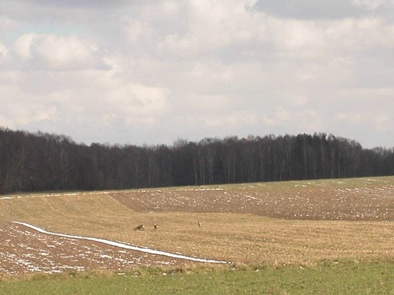 tanie działki z duzym potencjałem — zdjęcie 1