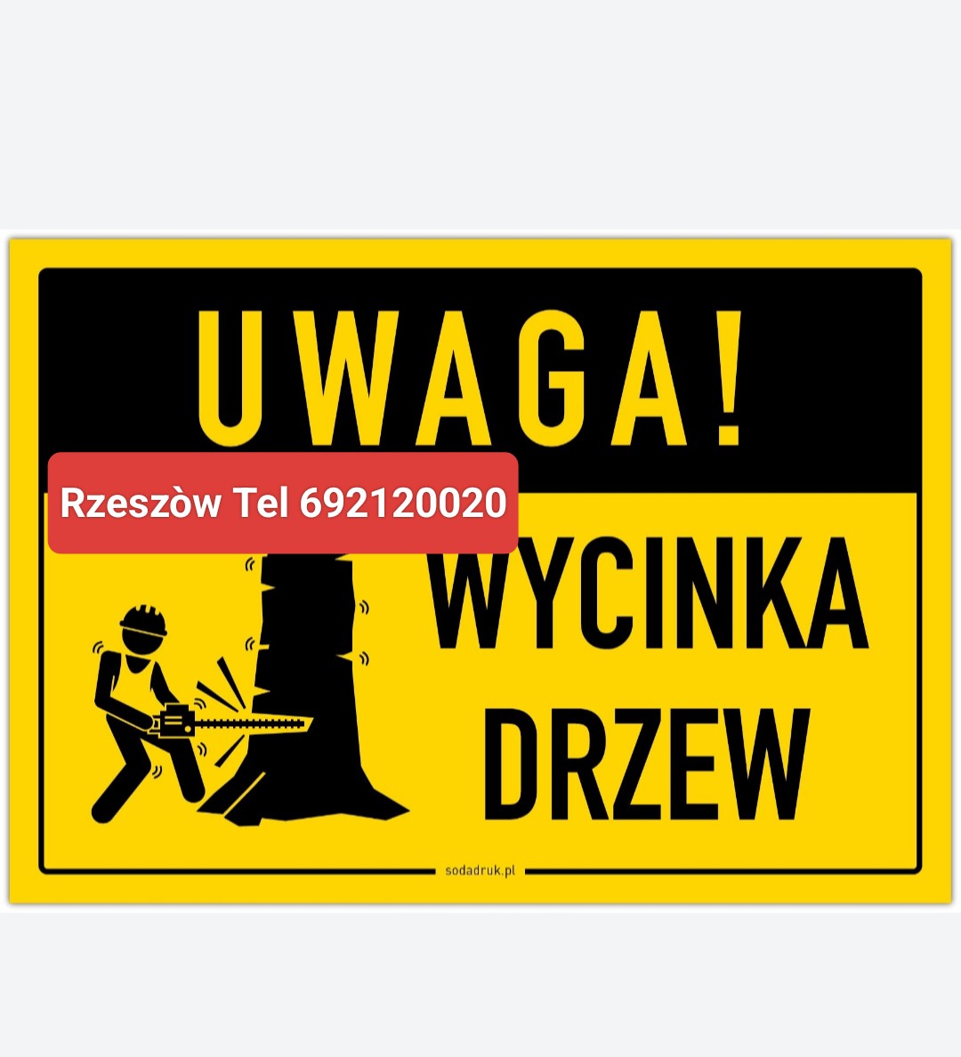 Wycinka drzew podcinanie gałeżi Rzeszòw Podkarpacie tel 692120020