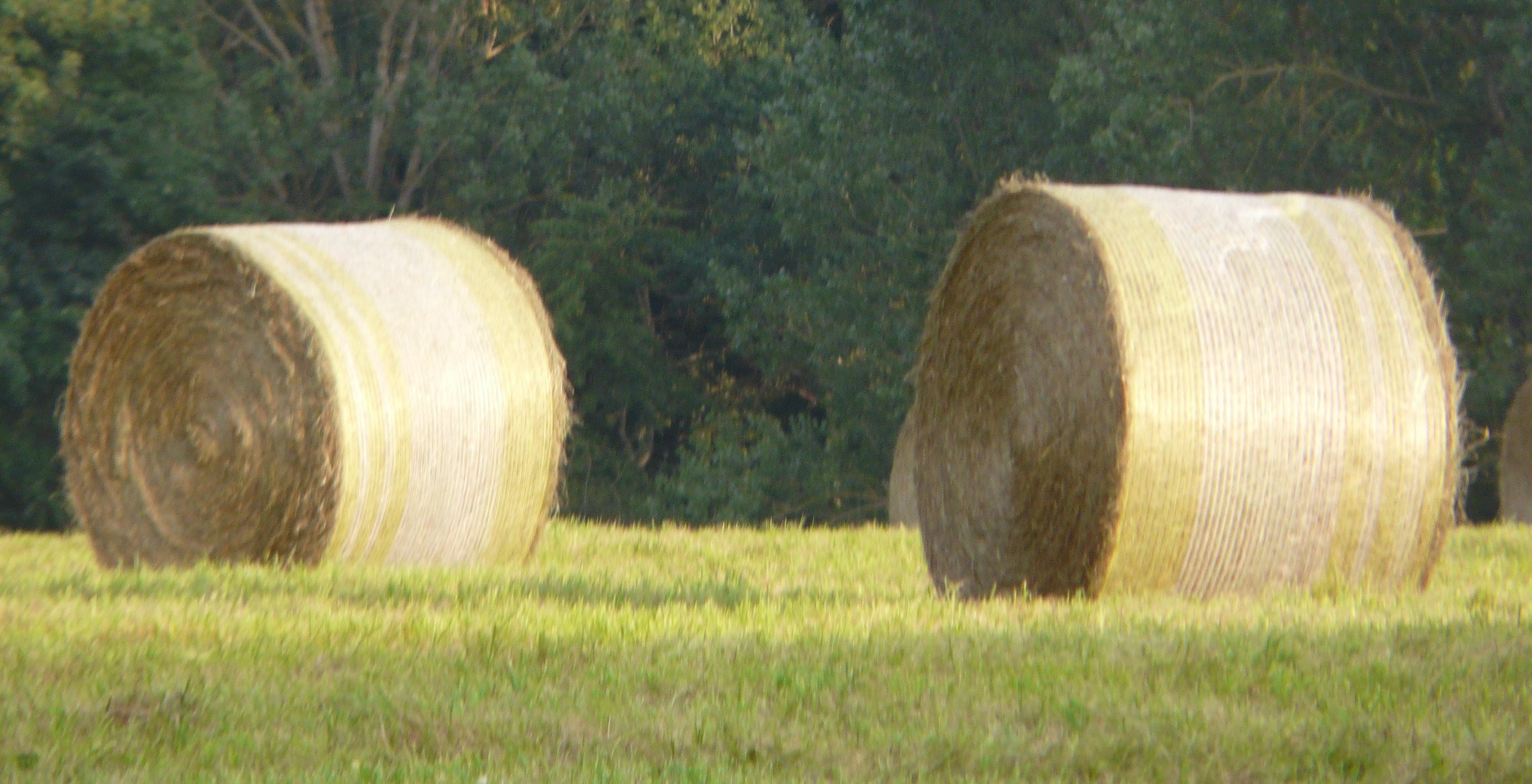 Rundballen — zdjęcie 1