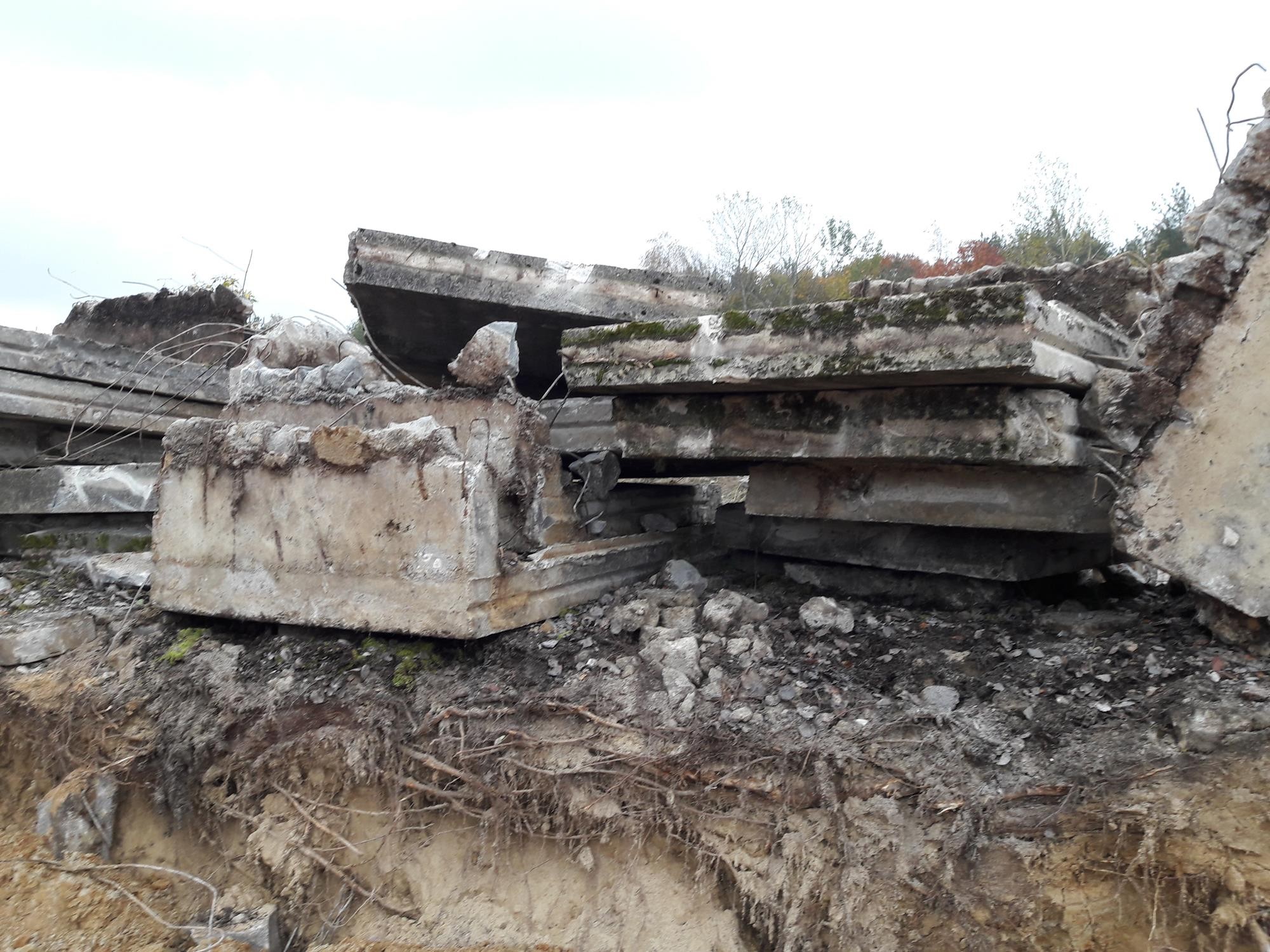  Elki betonowe 260/150/20 gr Ostrów Lubelski k/Lublina — zdjęcie 3