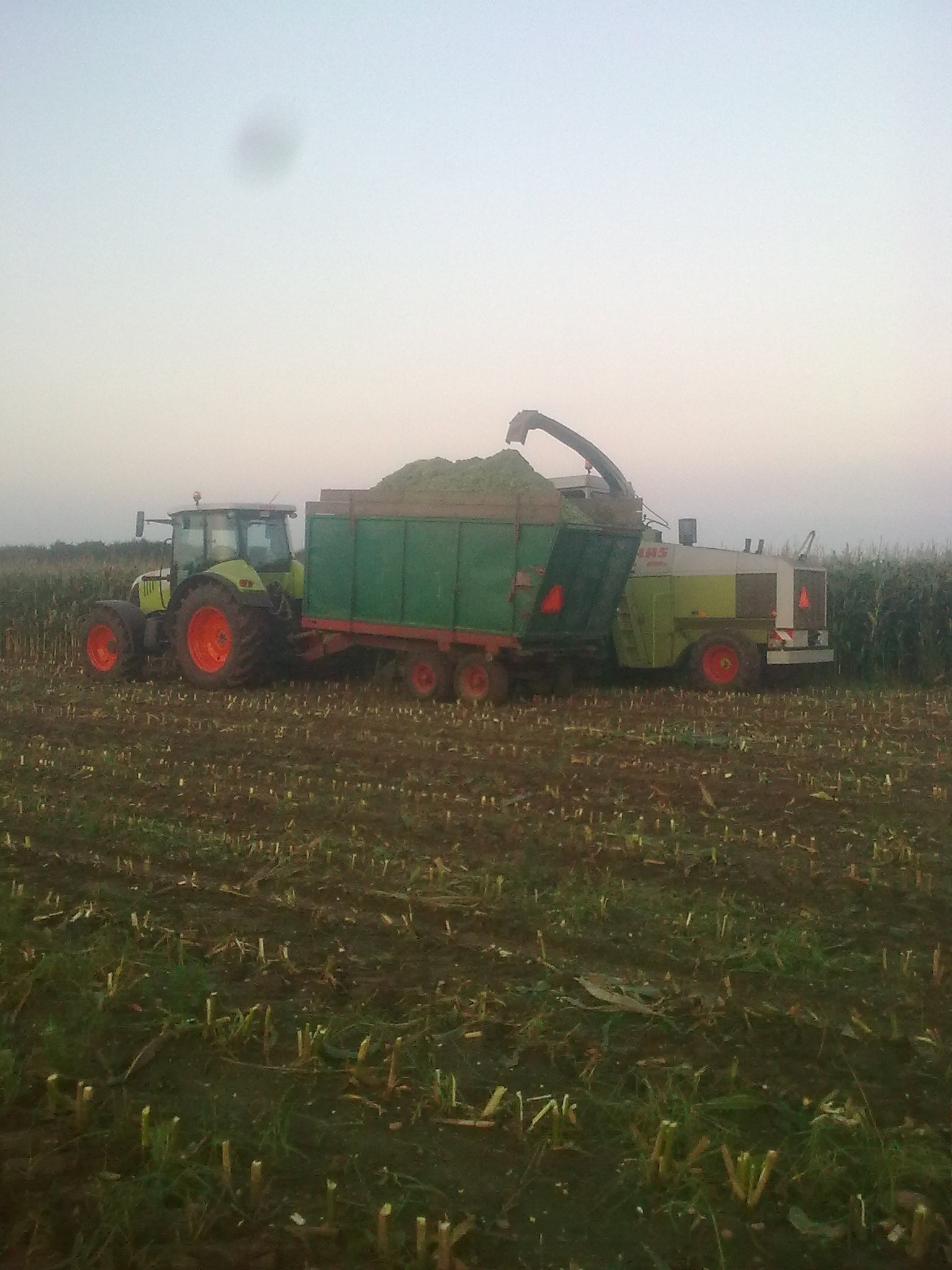 Claas JAGUAR 690SL - 1990 — zdjęcie 1