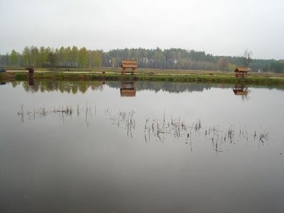 Sprzedam gospodarstwo rybackie 100ha, łódzkie — zdjęcie 5