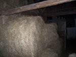 suche siano w belach 150x150 cm z łąk naturalnych