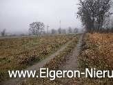 DZIAŁKA O POW. 1,66HA W ŁUPOWIE GM. BOGDANIEC