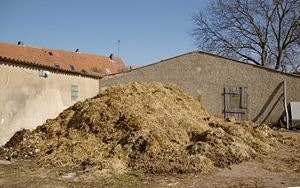 obornik za darmo-k/Poznania