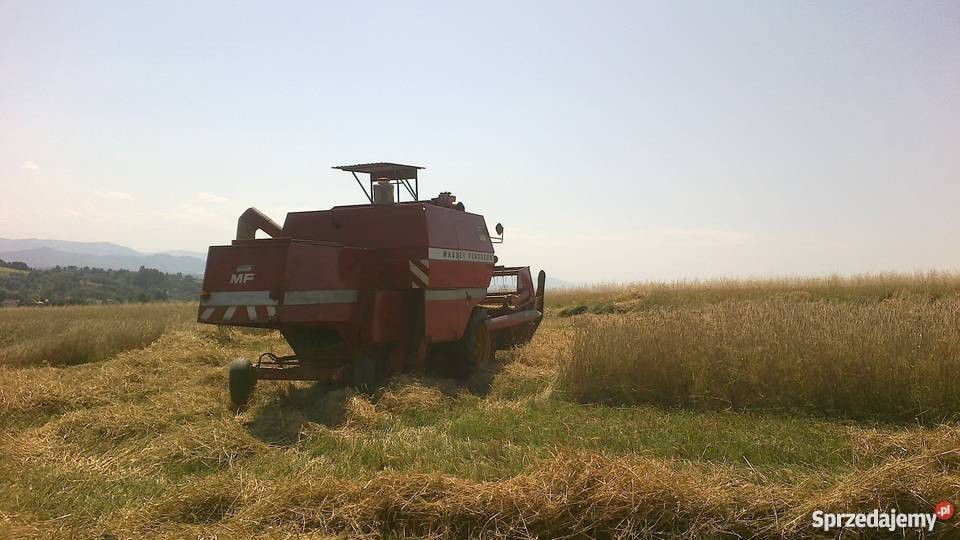 Okazja! Kombajn zbożowy Massey Ferguson sprzedaż lub zamiana — zdjęcie 7