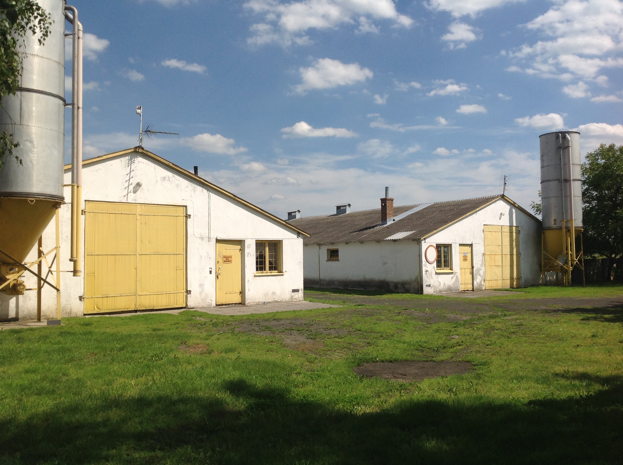  Kurczęta odchowane Świętokrzyskie Starachowice Mirzec  — zdjęcie 8