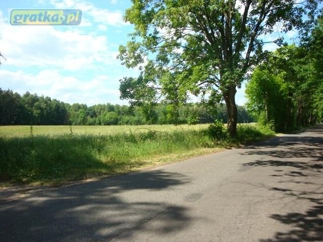 Piękna nieruchomość, gm.Skoki, 2.5ha, — zdjęcie 2
