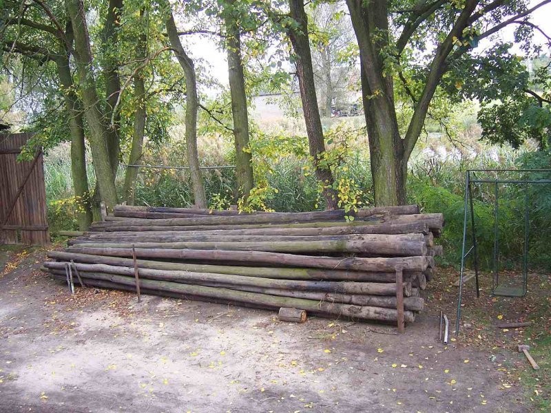 Słupy, Słup, Plantacja chmielu, — zdjęcie 2