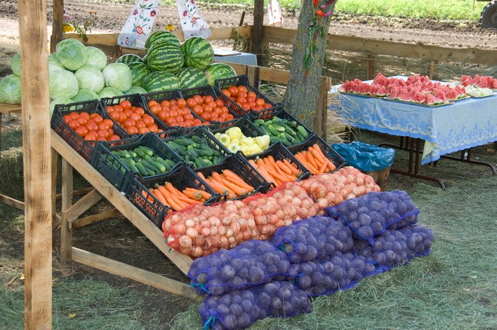  Ukraina.Oleje roslinne,produkcja rolnicza,dzialki,grunty.Czarny bez