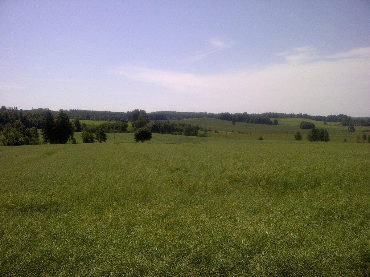 Ackerland in Polen ca. 71,5 ha, Agrarfläche besät — zdjęcie 1