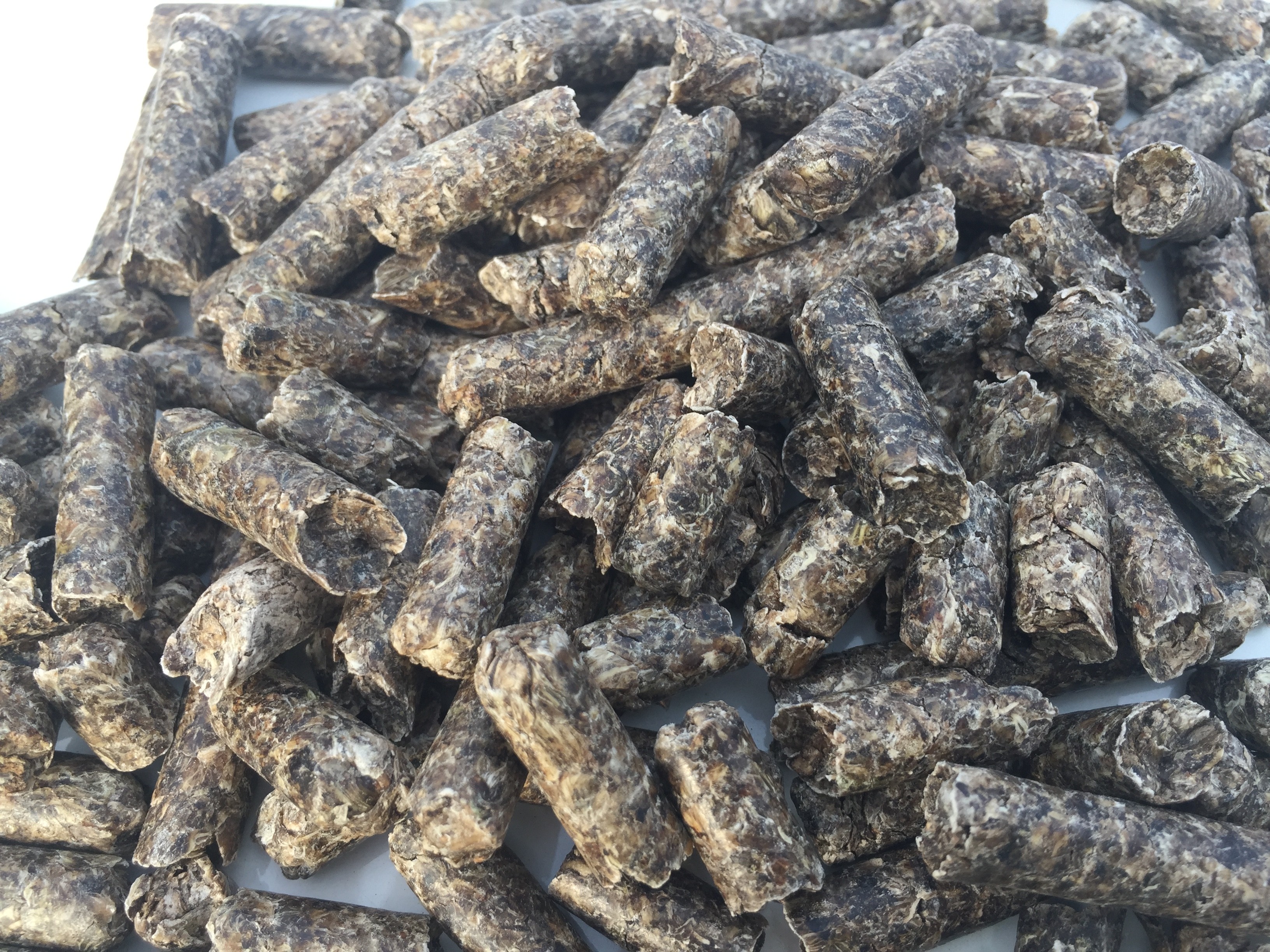 Wysłodki buraczane niemelasowane granulowane 8 mm — zdjęcie 3