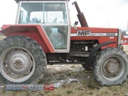 Massey Ferguson 2620 1981r — zdjęcie 2