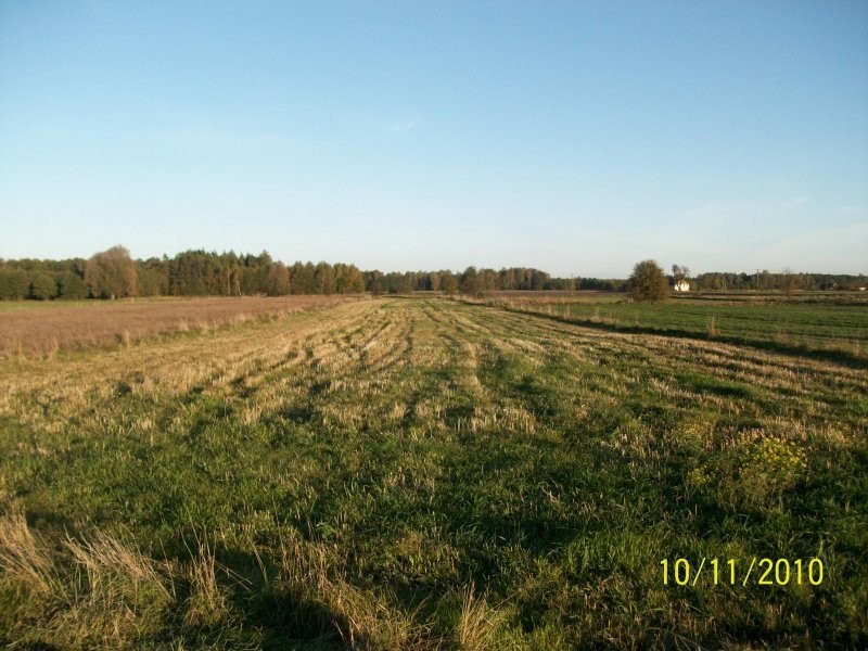Mam na sprzedanie działki rolno-budowlane — zdjęcie 1