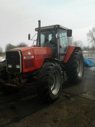 Massey Ferguson 3690 - 1991 — zdjęcie 3