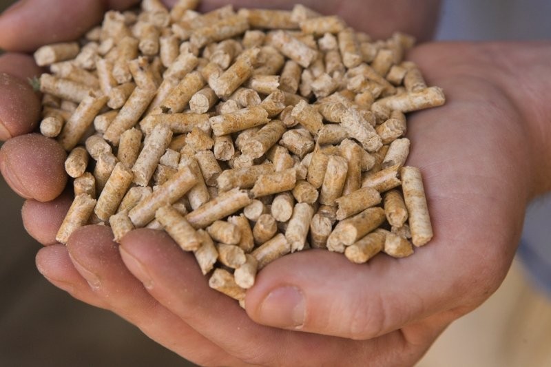 Pellet, brykiet, zrębka, drewno - importuj sam !!!