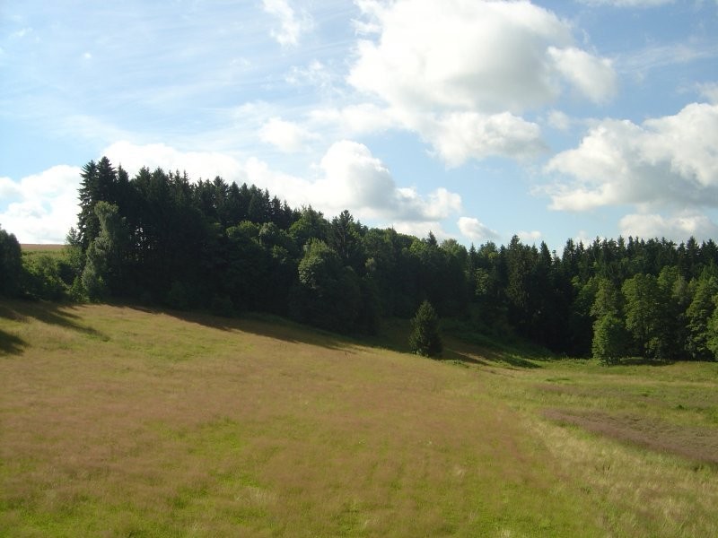 Malowniczo położone gospodarstwo — zdjęcie 4