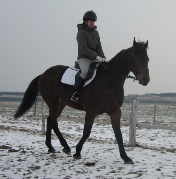 obóz jeździecki ferie 2012 — zdjęcie 4
