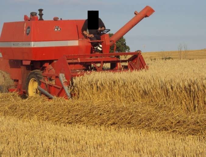 kombajn Massey Ferguson 187 — zdjęcie 1