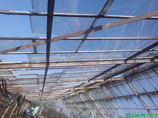 Szklarnia do rozbiórki 480 m2 — zdjęcie 2