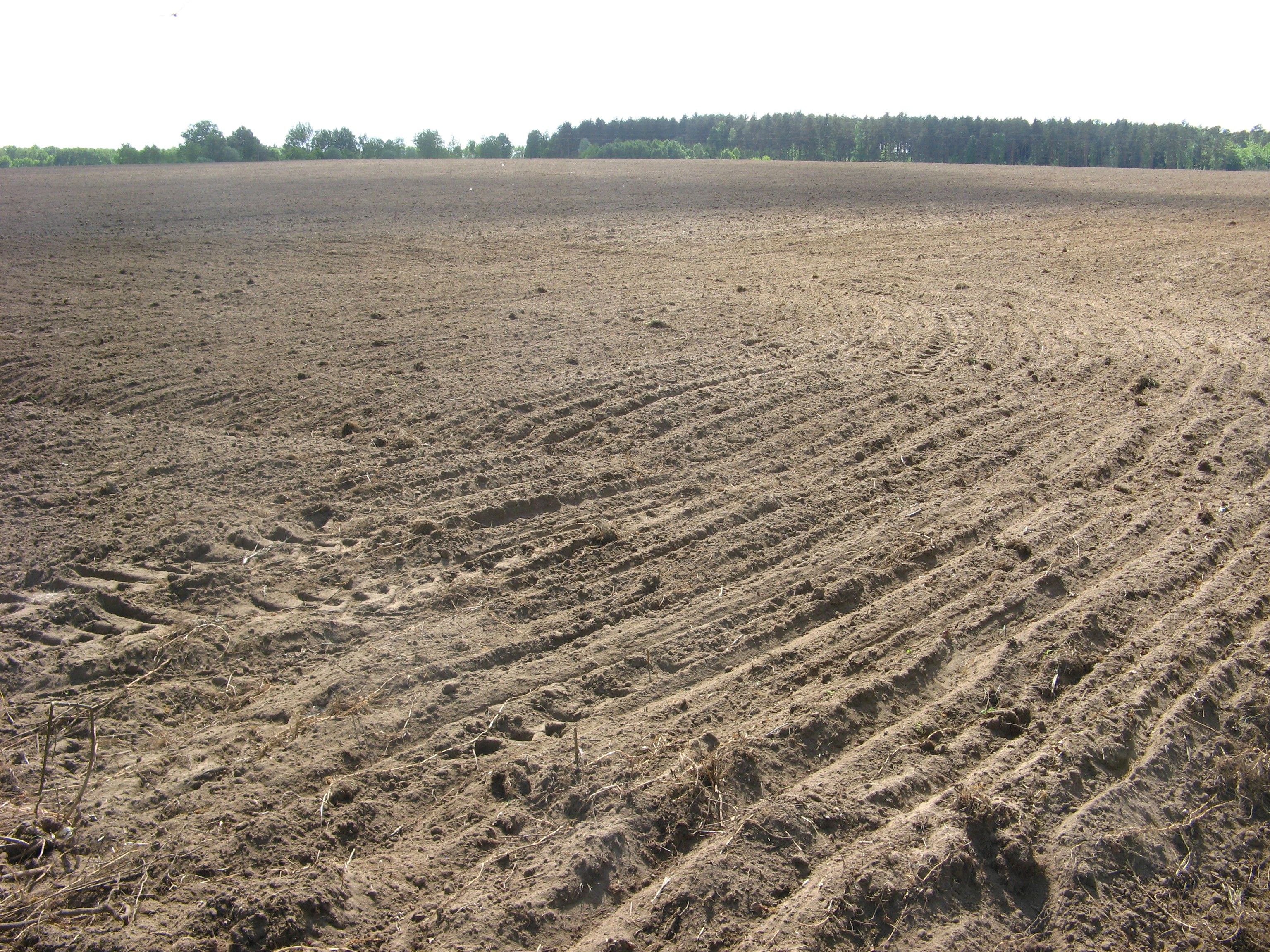 Nieruchomość rolna 193,9187ha powiat białogardzki — zdjęcie 3