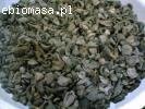 Biomasa Agro (PKS)