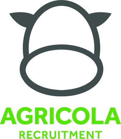 Praca na farmie Anglia 