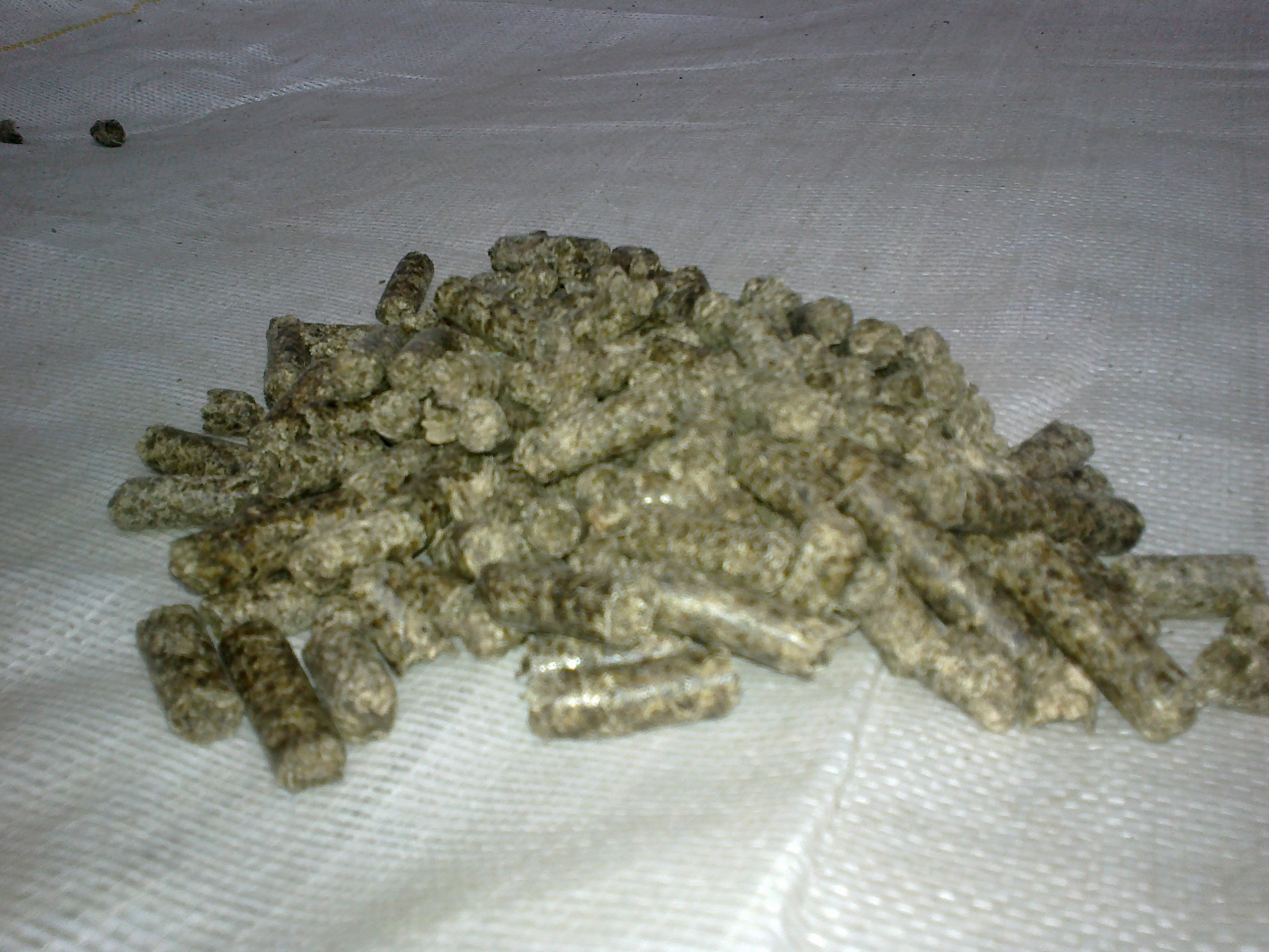 Wysłodki buraczane BIG Bag (produkcja 2015)