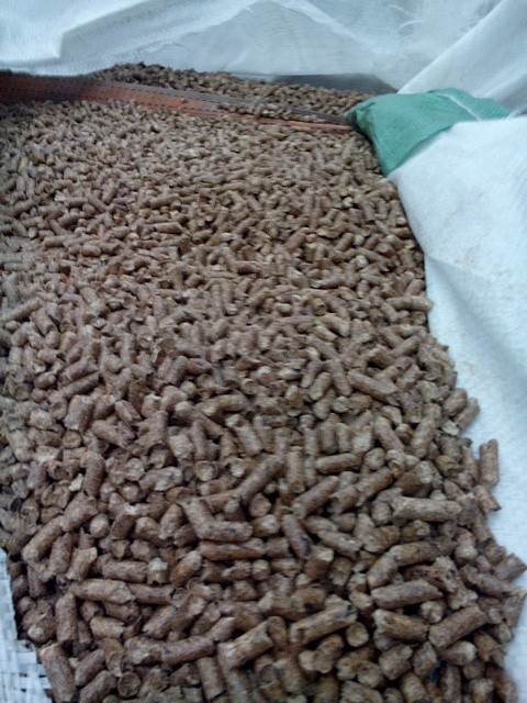 Spzredam pellet drzewny, pellet z łuski słonecznika,paleta EPAL  — zdjęcie 1