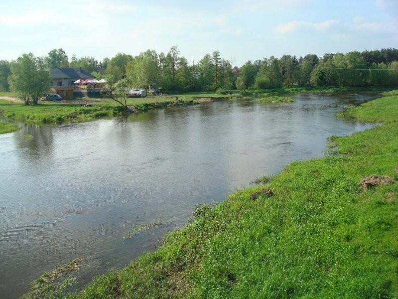 Sprzedam działki w lesie z prawem zabudowy — zdjęcie 2