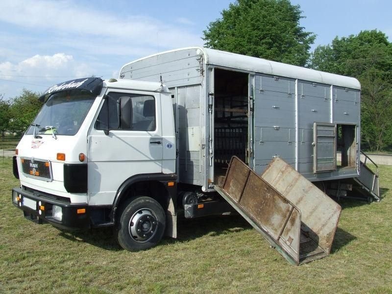 MAN 8 150 do przewozu zwierząt żywca bydła — zdjęcie 4