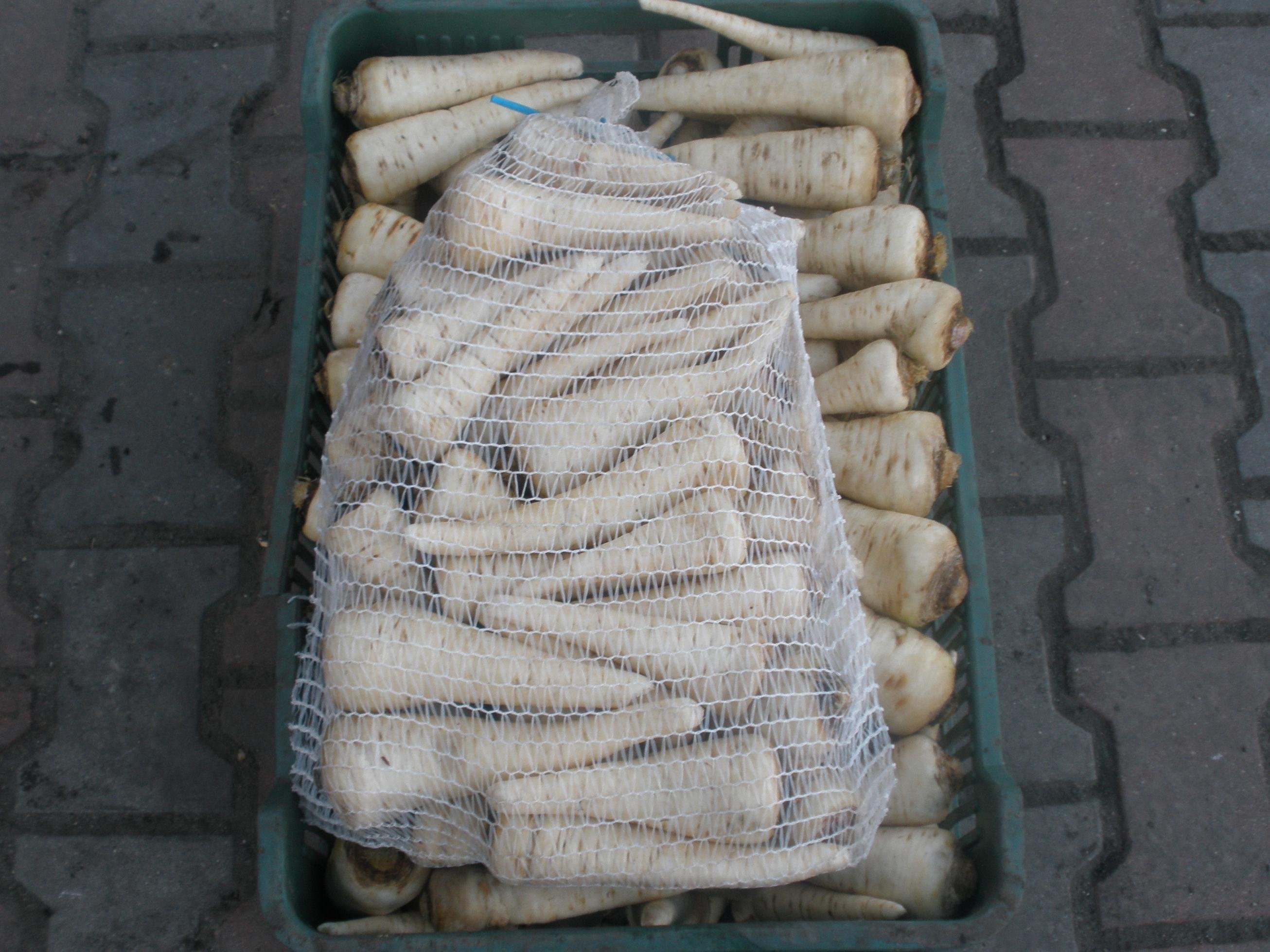 sprzedam pietruszke — zdjęcie 2
