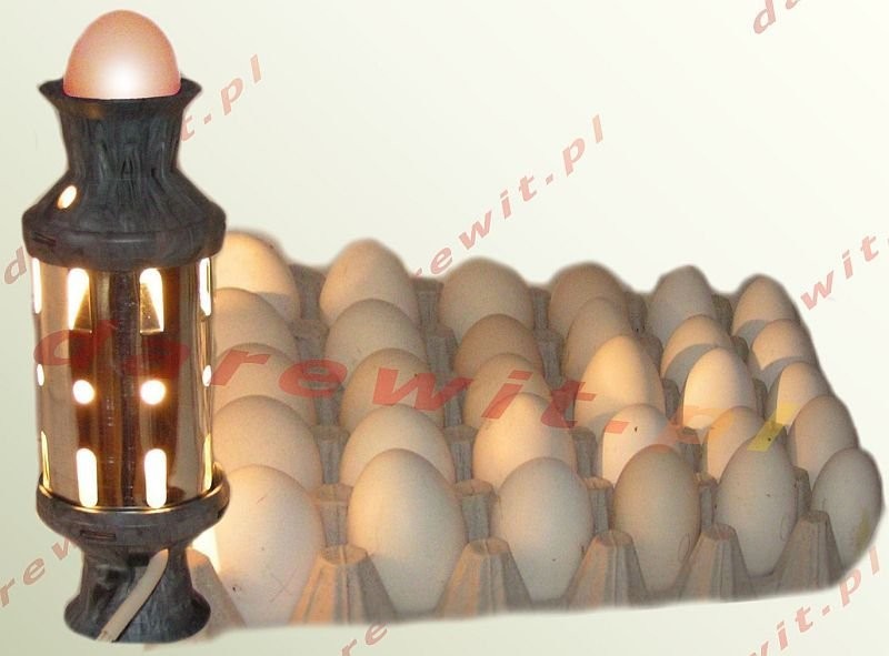 Owoskop Lampa do kontroli jaj lęgowych — zdjęcie 1