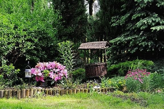 Dwa domy z działką 1,5ha - blisko Warszawy — zdjęcie 1