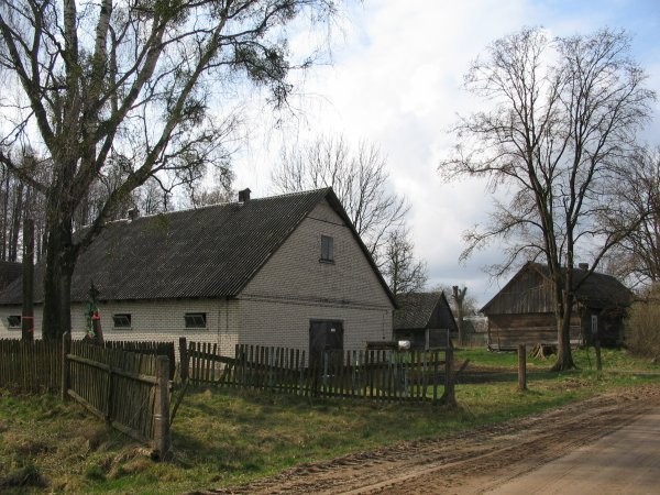 Do sprzedania, rolna, lesna — zdjęcie 1
