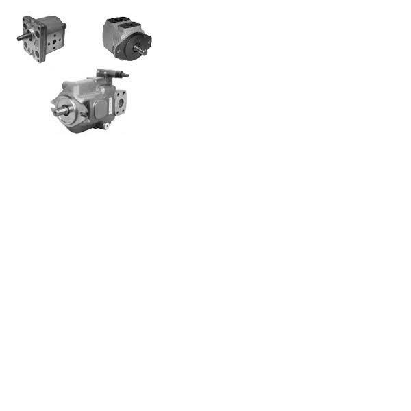 Regeneracja pomp  hydraulicznych DUPLOMATIC VPPM,DFP, IGP  — zdjęcie 1
