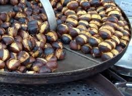 KUPIE JADALNE KASZTANY