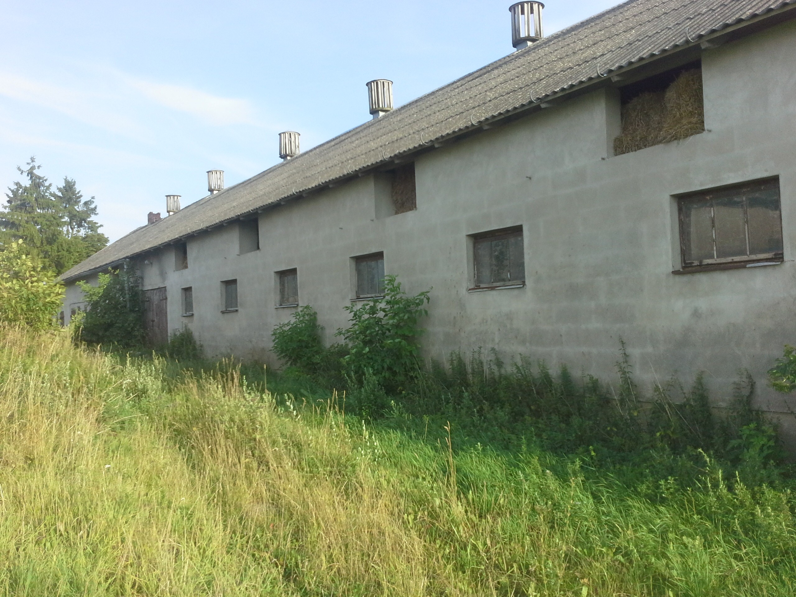 Gospodarstwo rolne na Suwalszczyźnie — zdjęcie 6
