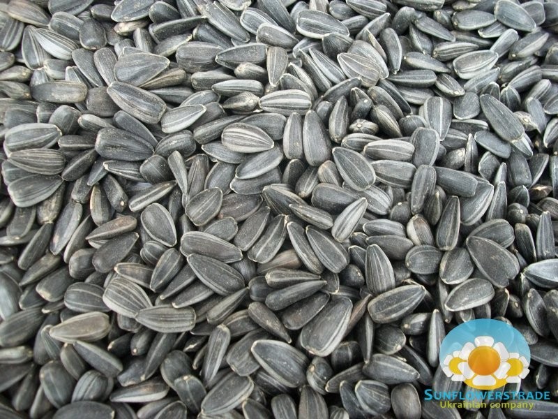 Sell Sunflower Seeds — zdjęcie 2